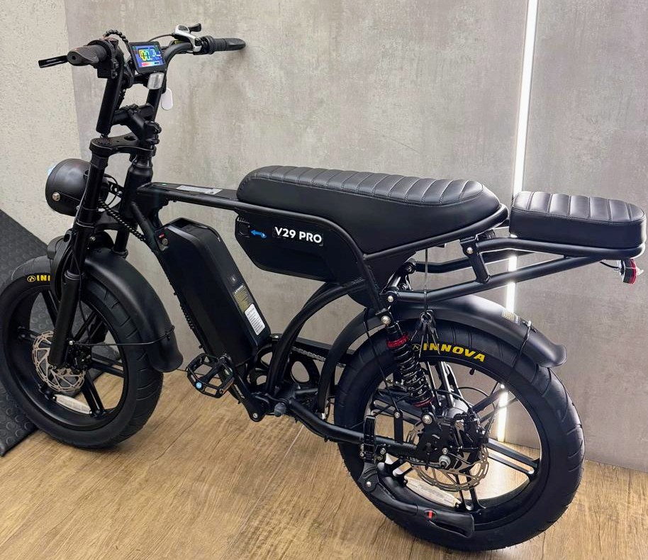 Modelo V29